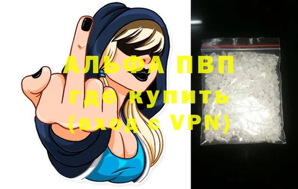 индика Нягань