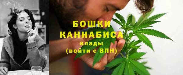 молекула духа Няндома