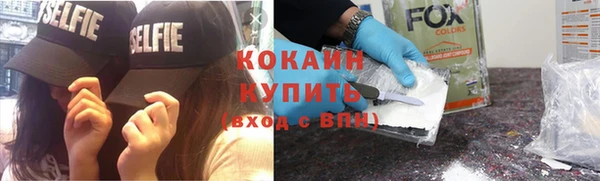 молекула духа Няндома