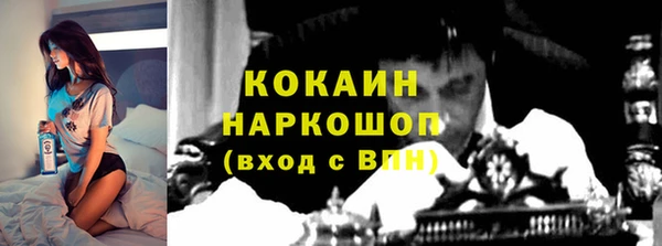 индика Нягань