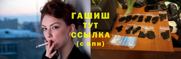 индика Нягань