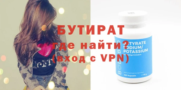индика Нягань