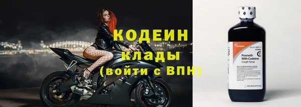 молекула духа Няндома