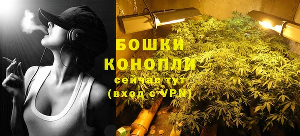 индика Нягань