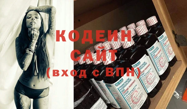 индика Нягань