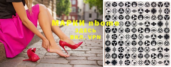 молекула духа Няндома