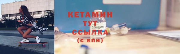 индика Нягань