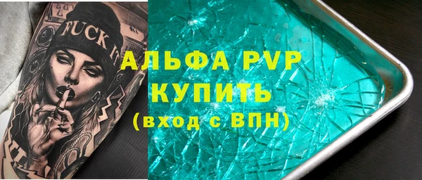 индика Нягань