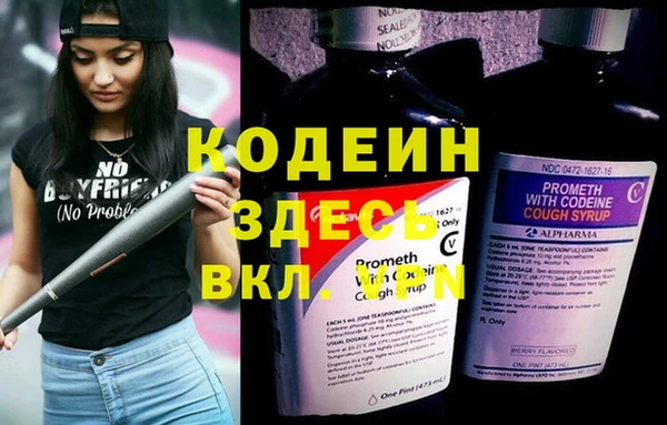 индика Нягань
