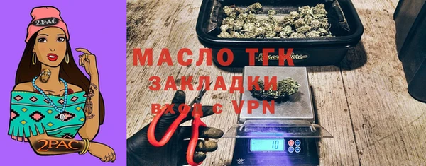 молекула духа Няндома