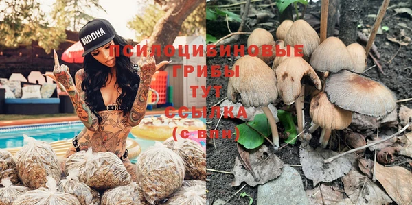 молекула духа Няндома