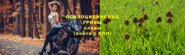 индика Нягань