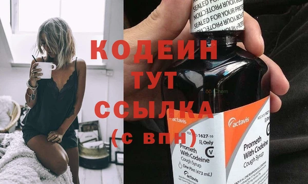 молекула духа Няндома