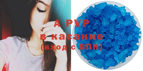 индика Нягань