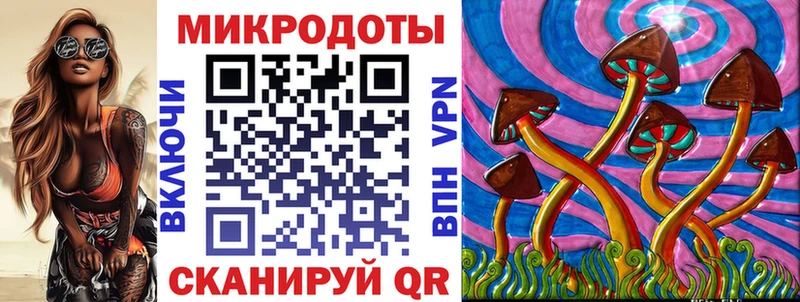 Псилоцибиновые грибы Psilocybine cubensis  Заполярный 
